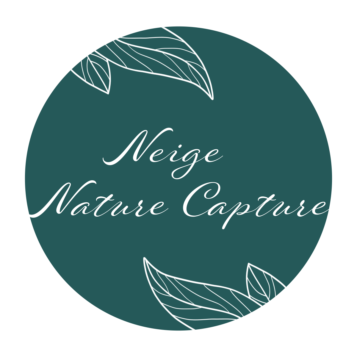 Neige Nature Capture